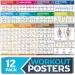12-PACK Laminated Large Workout Poster Set - Perfect Workout Posters for Home Gym - Exercise Charts Incl. Dumbbell Yoga Poses Resistance Band Kettlebell Stretching & More Fitness Gym Posters