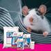 Beaphar Care+ Rat Food - Omega-3 & Omega-6 Enriched - Health & Well-Being for Rodents & Small Mammals - 1.5 kg Pack - Buy Online on GoSupps.com