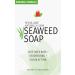 Reviva Original Formula Seaweed Soap 4.5 OZ - Naturally Cleanse & Deodorize Your Skin | Fresh Scented International Shipping - Buy Online on GoSupps.com