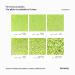 Hemway Fine Lime Green Glitter 100g - Cosmetic Safe 1/64 (0.015 0.4mm) for Crafting & Arts - Shop Internationally - Buy Online on GoSupps.com