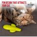 Pet Craft Supply Cactus Interactive Cat Toy - Bite Resistant Natural Rubber with Catnip & Silvervine Bags - Buy Online on GoSupps.com
