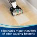 Bissell Antibacterial 2-in-1 Carpet Cleaner - Professional Grade Cleaning Solution - Buy Online on GoSupps.com