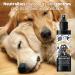 BUGALUGS Oatmeal Dog deodorant deodorising spray with Coconut & Lime scent dog perfume spray with odour neutraliser - vegan dog cologne dog grooming odour eliminator use with oatmeal shampoo Spray 200ml - Buy Online on GoSupps.com