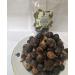 Snot Apple (Goron tula Fruit) Azanza garckeana (Fruit) Kayan mata - 8-12 seeds 100g - Buy Online on GoSupps.com
