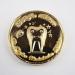 Personalized Tooth Fairy Letter with Gold Coin - Perfect Gift for Girls Birthdays School Enrollment & Daycare - Buy Online on GoSupps.com
