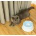PawsMark Anti-Splash Dripless Water Slow Feeder Car Bowl for Pets - White (QI003724) - Buy Online on GoSupps.com