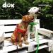 DDOXX Air Mesh Step-In Dog Harness - Adjustable XS Puppy Harness for All Sizes | Comfortable & Breathable (Orange 1.5 x 32-44 cm) - Buy Online on GoSupps.com