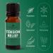 Plant Therapy Pain Support Essential Oil Blend Set - Ache Away Rapid Relief & Tension Relief - 10 mL Pure & Undiluted - Buy Online on GoSupps.com