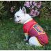CYP Brands Spanish National Team T-Shirt for Dogs - XL Size - Shop Internationally! - Buy Online on GoSupps.com