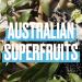 SOS Hair Mask with Australian Jojoba Seed Oil & Superfoods 450ml - Vegan, Supercharged Moisture for Hair Rescue - Buy Online on GoSupps.com