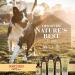 Burt's Bees Care Plus+ Relieving Dog Shampoo with Chamomile & Rosemary - 16 fl oz - Buy Online on GoSupps.com