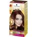 Schwarzkopf Country Colors Intensive Tint 66 Peru Nougat Brown 1 piece 122.5 ml 66 Peru Nougat Brown 1 piece (1 pack)