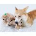 Outward Hound Kyjen Hide A Squirrel Jumbo Plush Dog Toy - 4-Piece Squeaky Toy for Dogs | International Shipping Available - Buy Online on GoSupps.com
