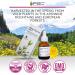 Gemmotherapy Allergy Lift (Allergy Depurato) Extract Budding Plant Stem Cell Extract Blend 50ml