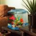Koller Products 2-Gallon Hex Fish Bowl | Durable Impact Resistant Plastic - Buy Online on GoSupps.com
