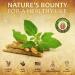Herbalicious Ashwagandha Supplement - Natural Stress Relief, Mood Booster, Sleep Aid - 2 Fl oz - Buy Online on GoSupps.com