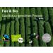 Yunnan PU Erh Organic Tea 100g - High-Quality Red Tea from China | Eco-Friendly Traditional Brewing | MyCupOfEa - Perfect for Connoisseurs - Buy Online on GoSupps.com