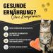 Canobel Salmon Oil for Dogs & Cats | 100ml | High-Dose Omega 3 & 6 Fatty Acids | Premium Fish Oil from Germany | Ideal for Puppies Adults & Seniors - Buy Online on GoSupps.com