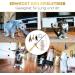 St.Pawly Catslang - Sustainable Interchangeable Cat Toy with Ergonomic Wooden Handle - Replacement Trailer & Band for Happy Cats - Buy Online on GoSupps.com