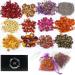 12 Bag Natural Dried Flowers Herbs Kit - Bulk Dry for Soap Making, DIY Candle, Resin Jewelry, Decor or Bath - Lavender, Rose Petals, Jasmine, Rosebuds, Lily, Lemon & More - Buy Online on GoSupps.com