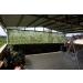 Ginsco Woodland Camouflage Netting 6.5x10ft - Ideal for Hunting, Camping & Outdoor Activities - Buy Online on GoSupps.com