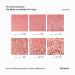 Hemway Ultra Sparkle Rose Gold Glitter - Microfine 1/256 (0.1MM) - Cosmetic Safe - 100g | International Shipping - Buy Online on GoSupps.com