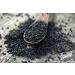 Buy 100% Pure Black Cumin Oil - Hemani 100ml for Health & Wellness | International Shipping Available - Buy Online on GoSupps.com