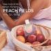 Skylar Peach Fields Eau de Parfum - Hypoallergenic & Clean Perfume for Women & Men Vegan & Safe for Sensitive Skin - Sweet Perfume with Notes of Mandarin Grapefruit White Peach - 50mL /1.7 Fl oz - Buy Online on GoSupps.com