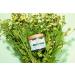 Humphreys Clarifying Witch Hazel Cleansing Pads - Fragrance Free - Clear Skin - Buy Online on GoSupps.com