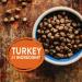 Wellness CORE Grain-Free High-Protein Dog Food | Natural & Real Meat, 12 lbs, All Breeds - Turkey & More - Buy Online on GoSupps.com