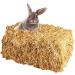 15 kg Quality Wheat Straw Bales for Rabbits & Guinea Pigs - Fresh Unsprayed Farm-Direct | Ideal for Food & Decoration - Buy Online on GoSupps.com