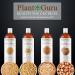 Plant Guru Wheat Germ Oil 2 fl. oz. Cold Pressed Unrefined 100% Pure & Natural Carrier Oil for Skin Face Body & Hair Moisturizing. Perfect for DIY Creams Lotions & Lip Balm. - Buy Online on GoSupps.com