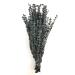 CalCastle Craft Natural Dried Preserved Eucalyptus Branches Large 30" Tall Bulk 1 LB / 8 OZ (Frosted Blue - 16 oz)