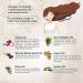 AADYA LIFE Onion Hair Care Oil 200ml - Organic Oil for Hair Growth with Saw Palmetto, Black Seed & Argan Oil - Promotes Gorgeous, Healthy, Shiny Hair - 6.76 Fl Oz - Buy Online on GoSupps.com