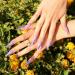 BLUESKY Gel Nail Polish My Journey SS2312 Purple Lilac Long Lasting Chip Resistant 5 ml Requires Drying Under UV LED Lamp Lilac 5 ml (Pack of 1) - Buy Online on GoSupps.com