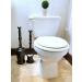 Master Plunger Bathroom Kit - Toilet Plunger & Brush Set in Black | Two Buckets Included - Buy Online on GoSupps.com