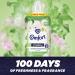 Comfort Creations Apple Blossom Fabric Conditioner - 48 Washes, 1.44L Bottle - Jasmin Scent - Long Lasting Freshness and Fragrance - Pack of 1 - Buy Online on GoSupps.com