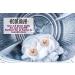 Organic Wool Dryer Balls - Pack of 6 | 100% New Zealand Wool | Baby-Safe & Energy Efficient | Reusable Alternative to Dryer Sheets | Fast Drying Reduces Wrinkles 1000+ Loads - Buy Online on GoSupps.com