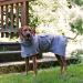 CANICOAT Dog Bathrobe Lavari - 100% Cotton Oeko-TEX Certified Size 5 Light Grey - Soft & Absorbent Dog Towel - Buy Online on GoSupps.com