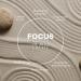 Organic Citrus & Ginseng Essential Oil Blend | Labs Focus 100% Natural for Diffusers - 10ml - Buy Online on GoSupps.com