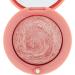 Bourjois Little Round Pot Blusher 95 Rose De Jaspe | Long-Lasting Blush - Buy Online on GoSupps.com