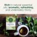 Traditional Medicinals Peppermint 16 Tea Bags (Pack Of 6) 384 gram Tea Peppermint 16 Count (Pack of 6) - Buy Online on GoSupps.com