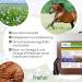 Buy 10 Liters Profair Linen Oil - 100% Pure Cold Pressed Linseed for Horses Dogs & Cats | Additive-Free Pet Nutrition - Buy Online on GoSupps.com