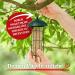 Buy DELICIA Meisenballen Spender - Bird Feeding Station for Meisenkn del & Dumplings | International Shipping Available - Buy Online on GoSupps.com