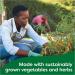 Knorr Vegetable Gluten-Free Stock Cubes for Rich Flavour in Vegetarian Meals - 20 x 10g - Buy Online on GoSupps.com