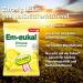 EM E-eukal Cough Candies - Soothing 75g Pack for International Relief - Buy Online on GoSupps.com