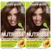 Garnier Hair Color Nutrisse Nourishing Creme 51 Medium Ash Brown (Cool Tea) Permanent Hair Dye 2 Count (Packaging May Vary)