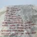 Pu-erh tea 2009 Xiangzhuqing spring 500g Raw - Buy Online on GoSupps.com