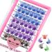 Colored Lash Clusters 5 Colors Mixed Cluster Lashes Colored Individual Eyelashes Cluster 14mm Blue+Purple+Brown+Green+Red DIY Lash Extension Volume Wispy Lashes Super Thin Band Reusable Soft & Comfortable(Mix Color Volume-D-16mm)