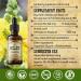 HERBALICIOUS Mullein Drops for Lungs Organic Lung Cleanse Supplement with Mullein Leaf Extract (Verbascum Thapsus) Vegan Non-GMO Liquid Formula 4 Fl Oz - Buy Online on GoSupps.com